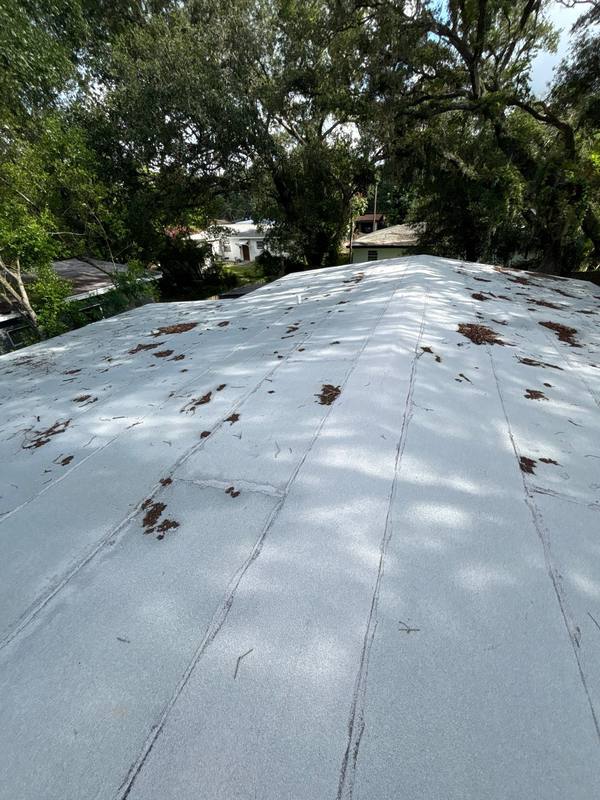 roof repair in Tampa, Florida
