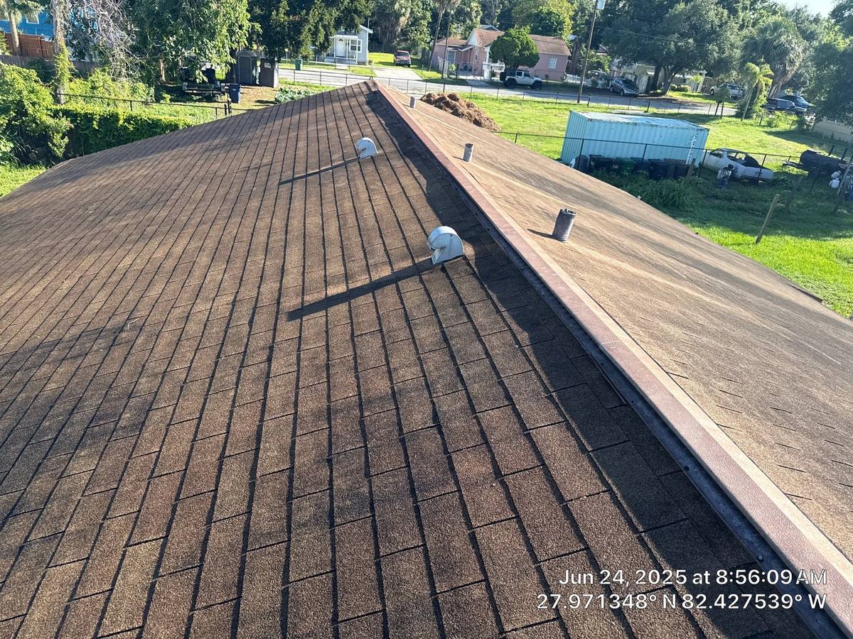 shingle roof replacement in Tampa, Florida