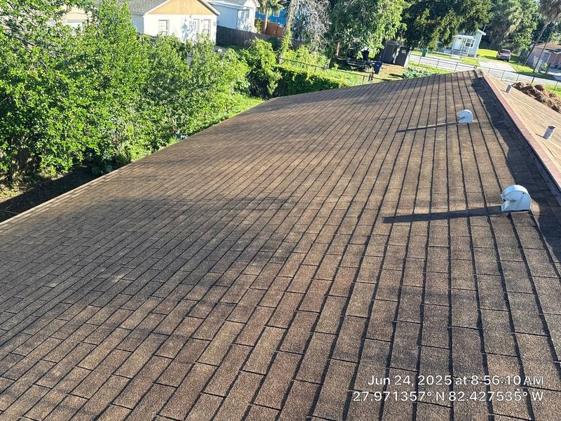 shingle roof replacement in Tampa, Florida