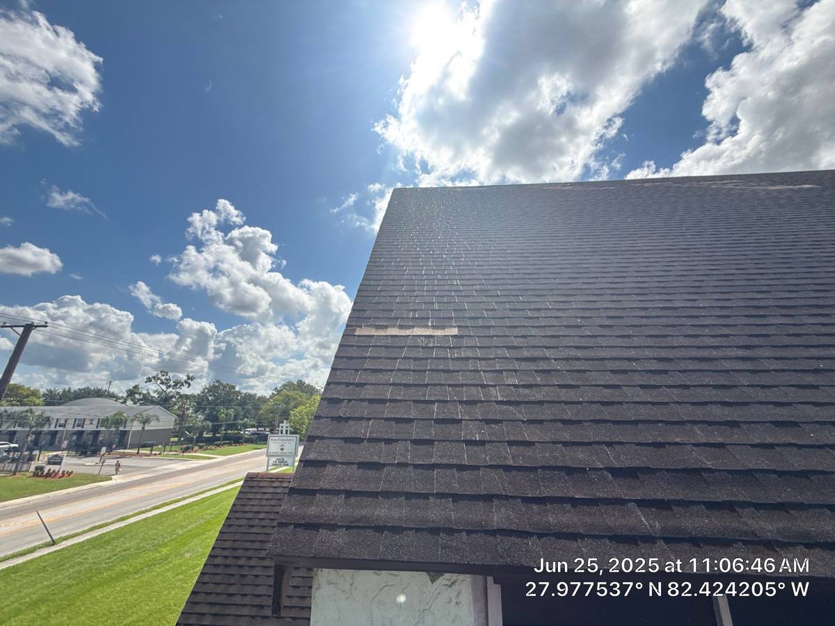 shingle roof replacement in Tampa, Florida