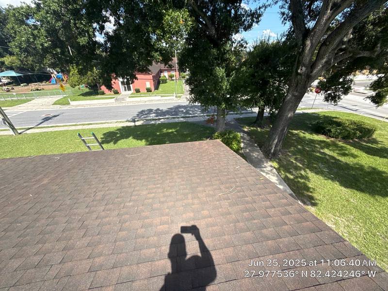 shingle roof replacement in Tampa, Florida