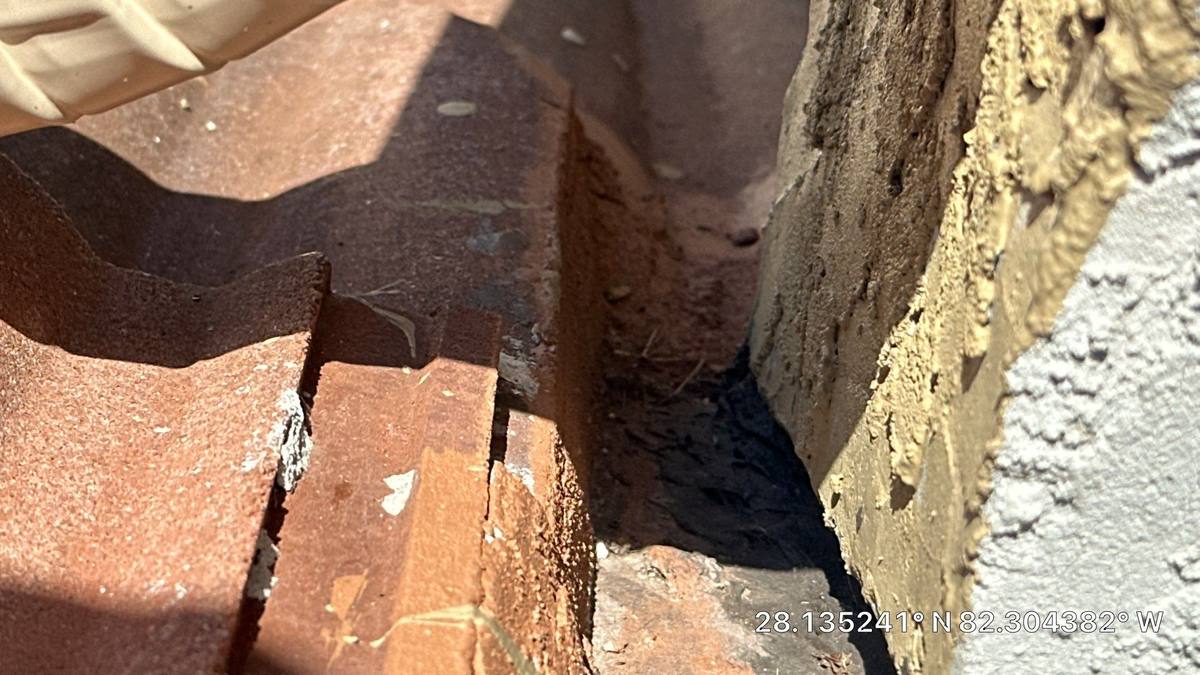 roof replacement in Tampa, Florida