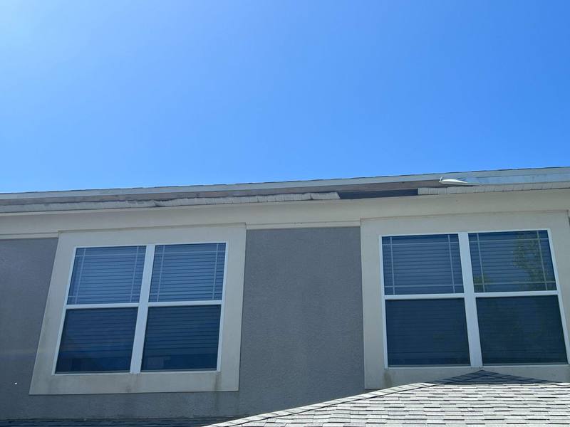 roof repair in Wesley Chapel, Florida