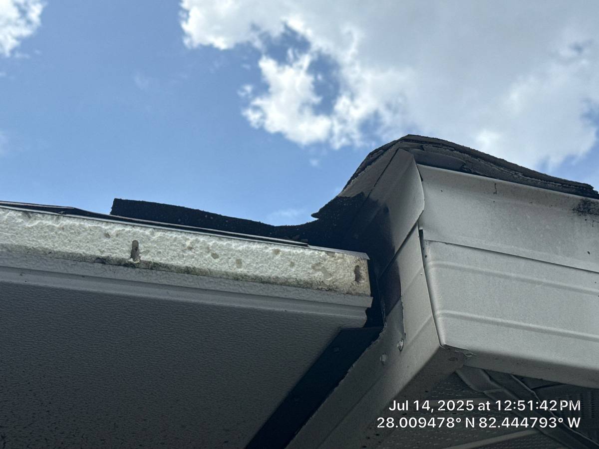 shingle roof replacement in Tampa, Florida