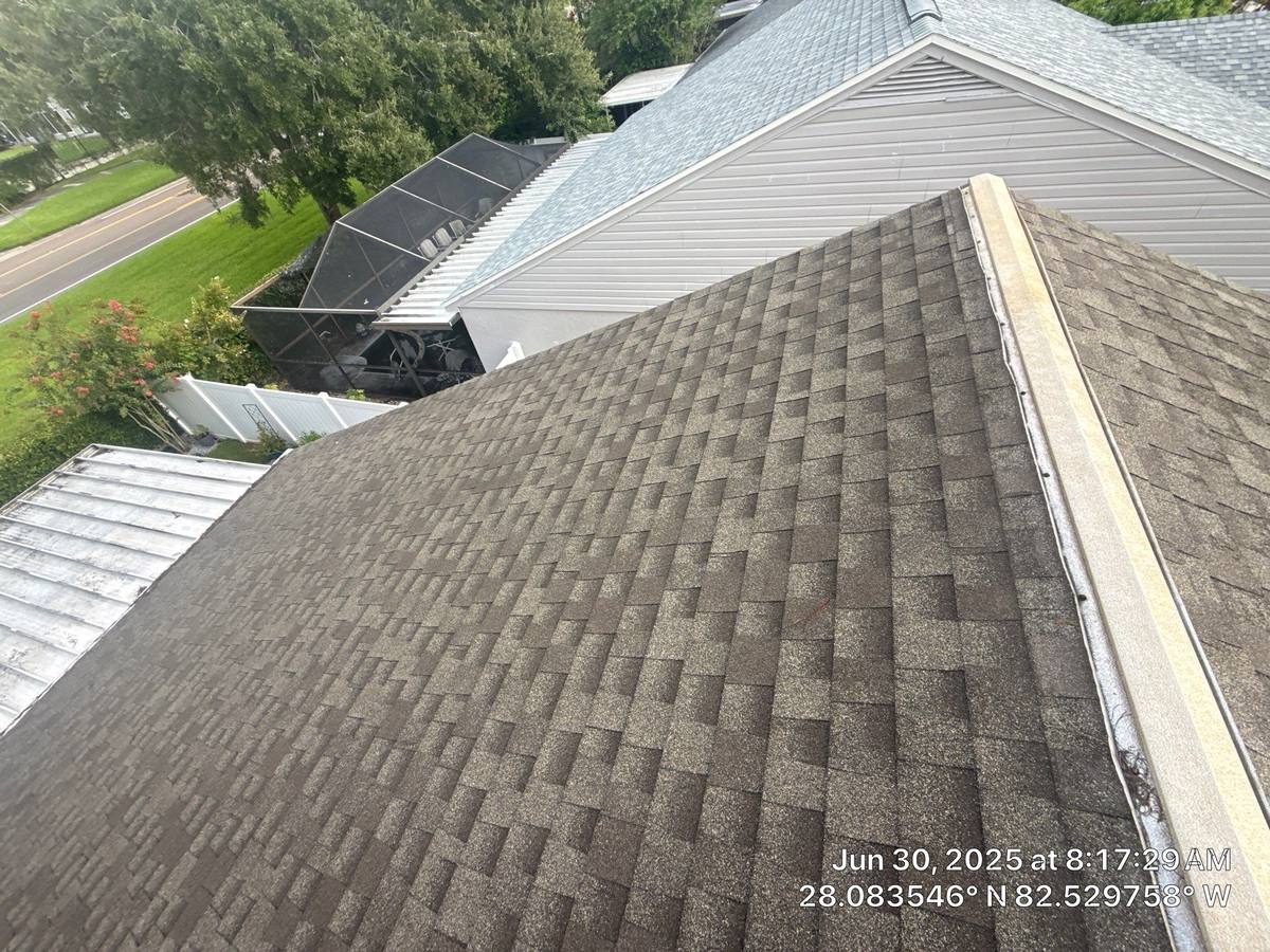 shingle roof replacement in Tampa, Florida
