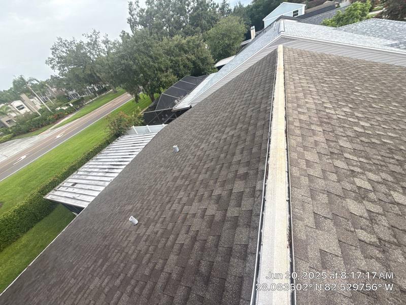 roofing project near Cypress Trace Dr in Tampa