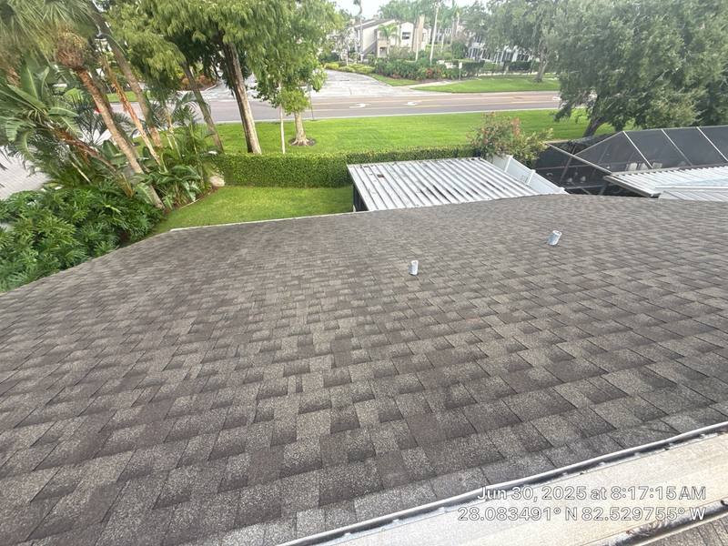roofing project near Cypress Trace Dr in Tampa