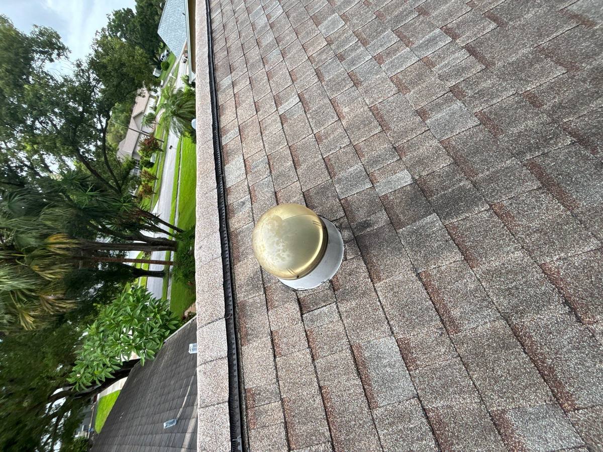 shingle roof replacement in Palm Harbor, Florida