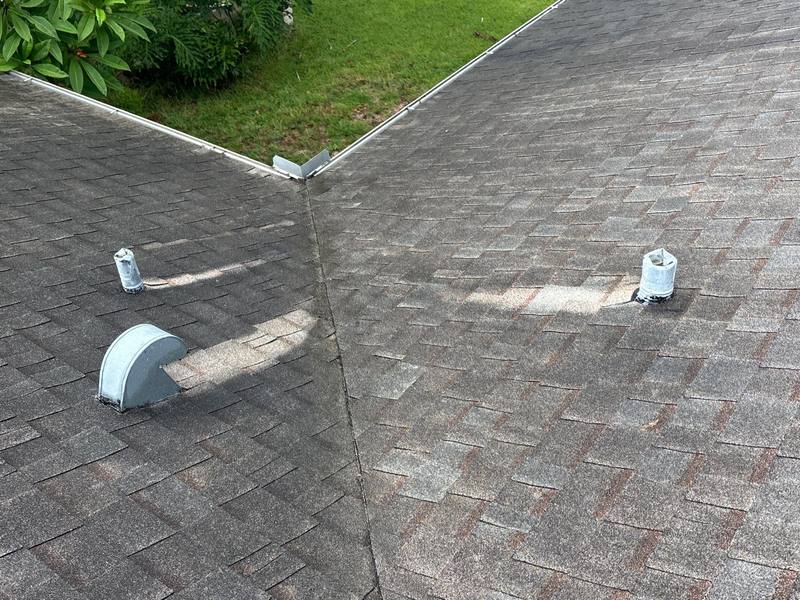 residential shingle roof replacement by Hloska Roofing in Palm Harbor
