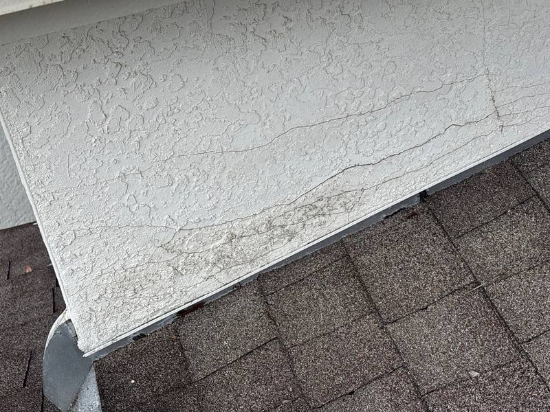 shingle roof replacement in Seffner, Florida