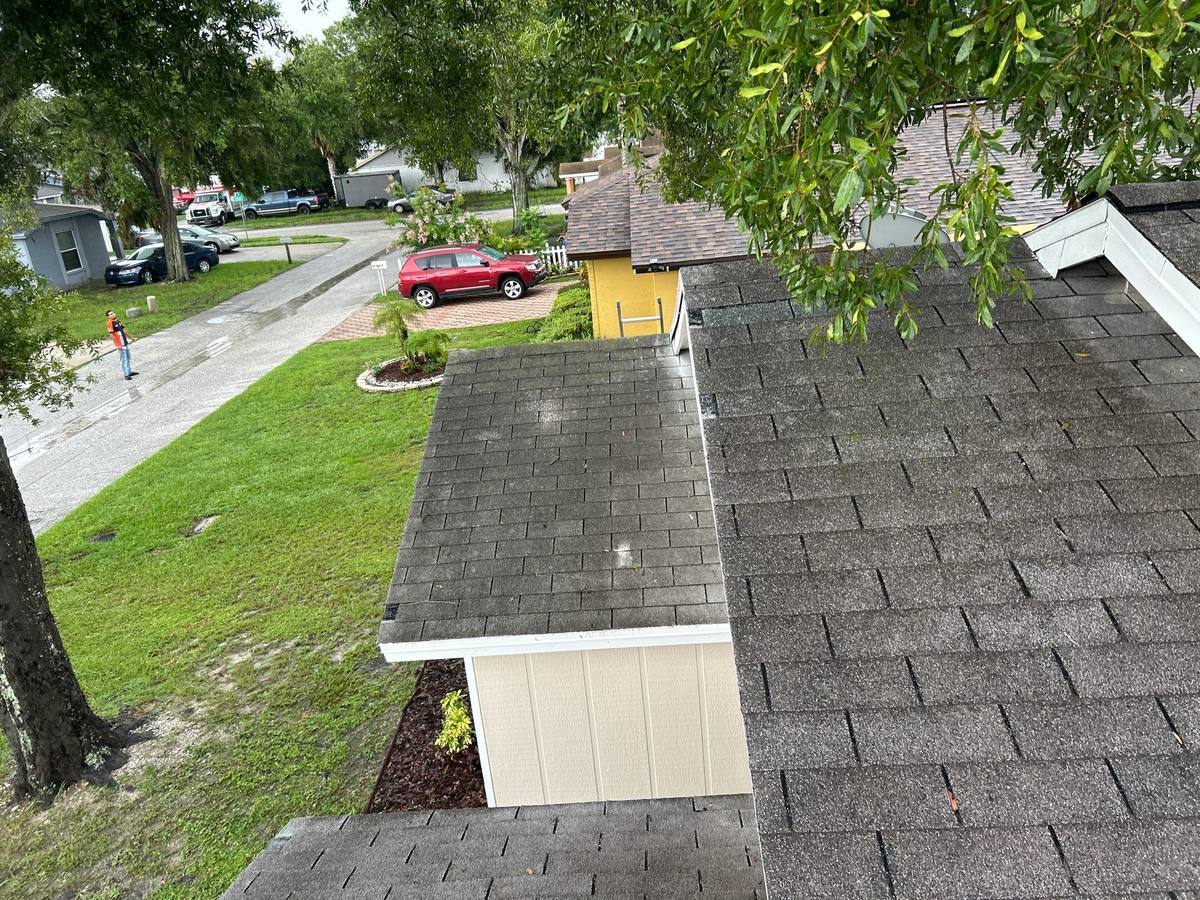 shingle roof replacement in Tampa, Florida