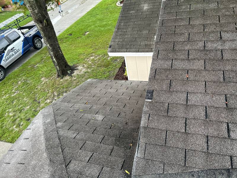 roofing project near Elgin Ct in Tampa