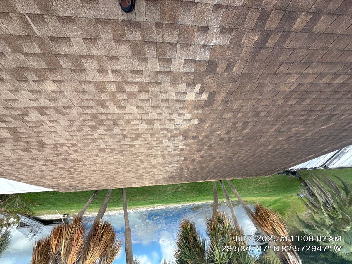 shingle roof replacement in Weeki Wachee, Florida