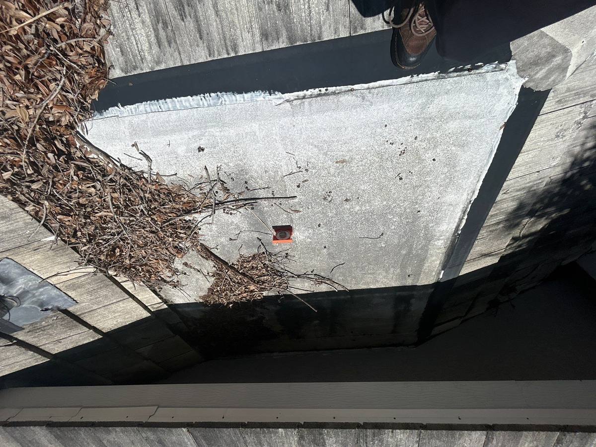 shingle roof replacement in Tampa, Florida