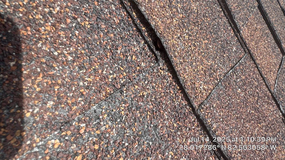 roof repair in Tampa, Florida