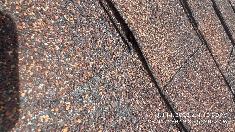 completed roofing project in Tampa FL