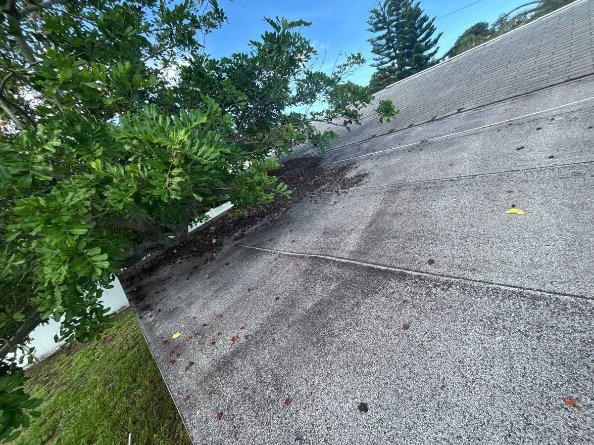 shingle roof replacement in Seminole, Florida