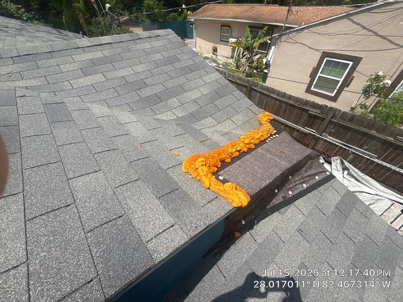 completed roofing project in Tampa FL