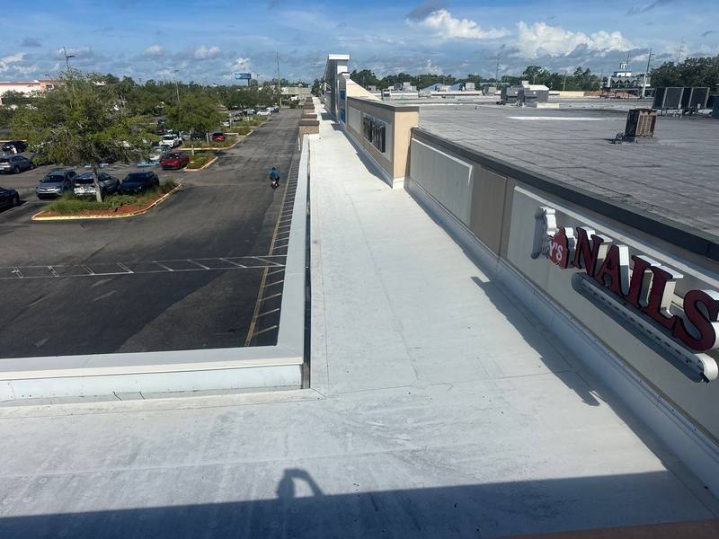 roof replacement in Tampa, Florida