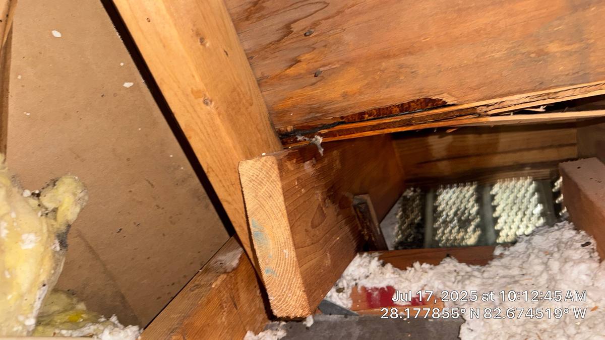 roof repair in Trinity, Florida