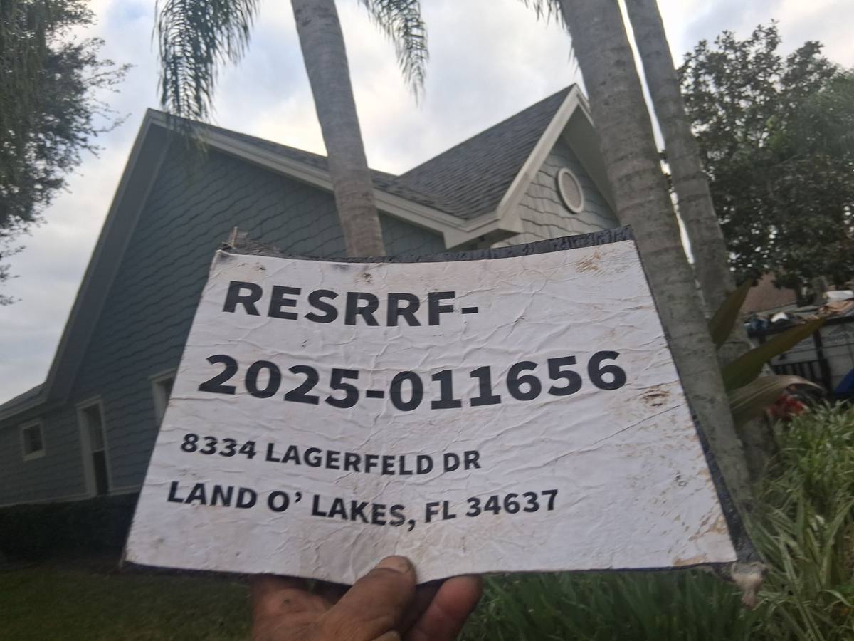 shingle roof replacement in Land O Lakes, Florida