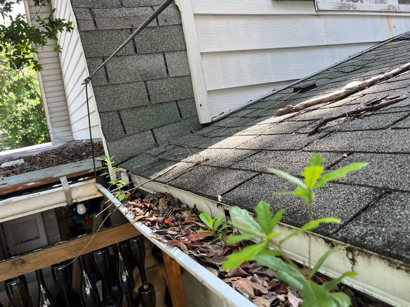 shingle roof replacement in Tampa, Florida