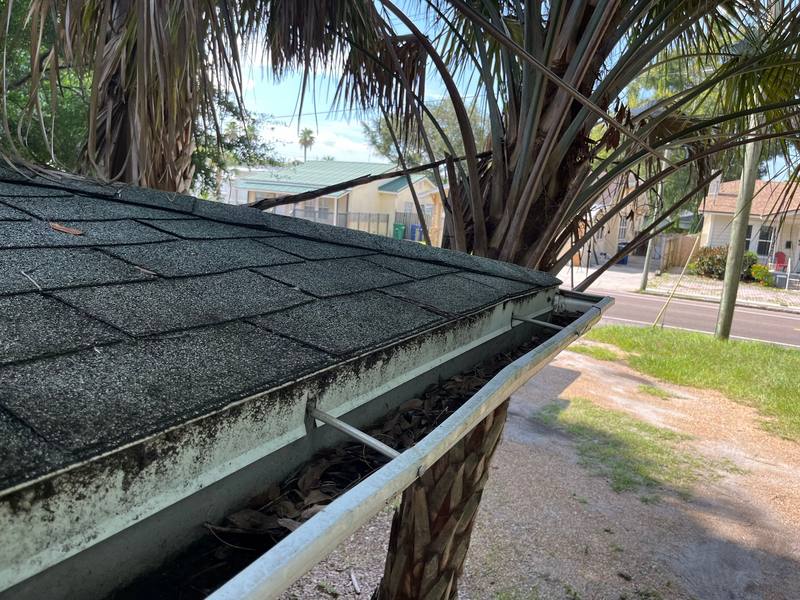 residential shingle roof replacement by Hloska Roofing in Tampa