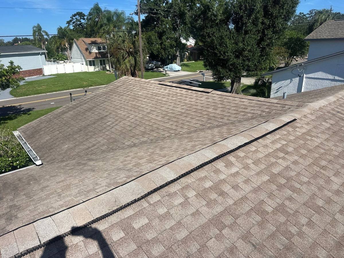 shingle roof replacement in Tampa, Florida
