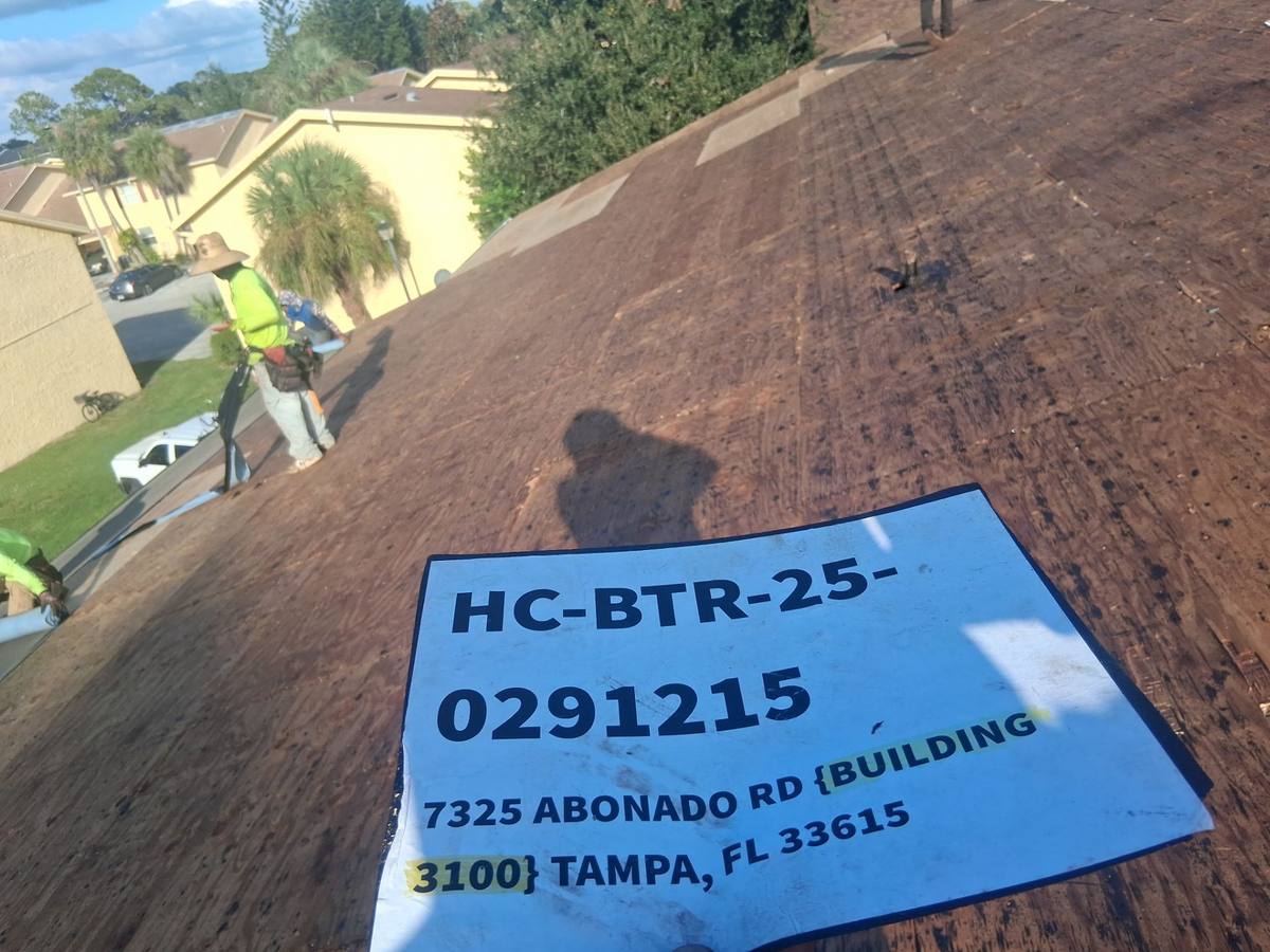 roof repair in Tampa, Florida