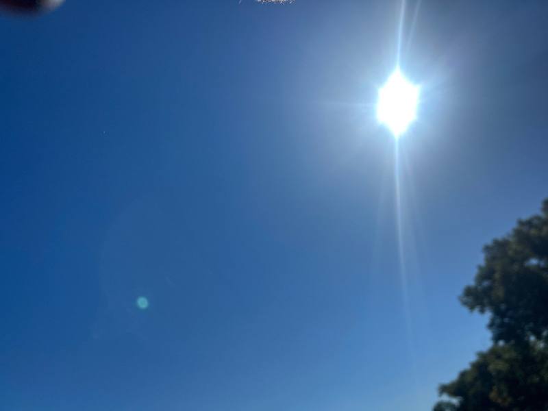 shingle roof replacement in Port Richey, Florida