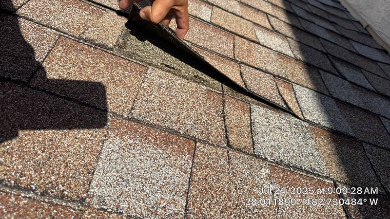roof replacement in Clearwater, Florida