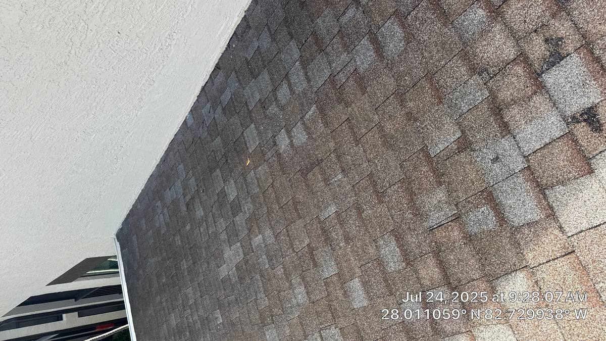 roof replacement in Clearwater, Florida