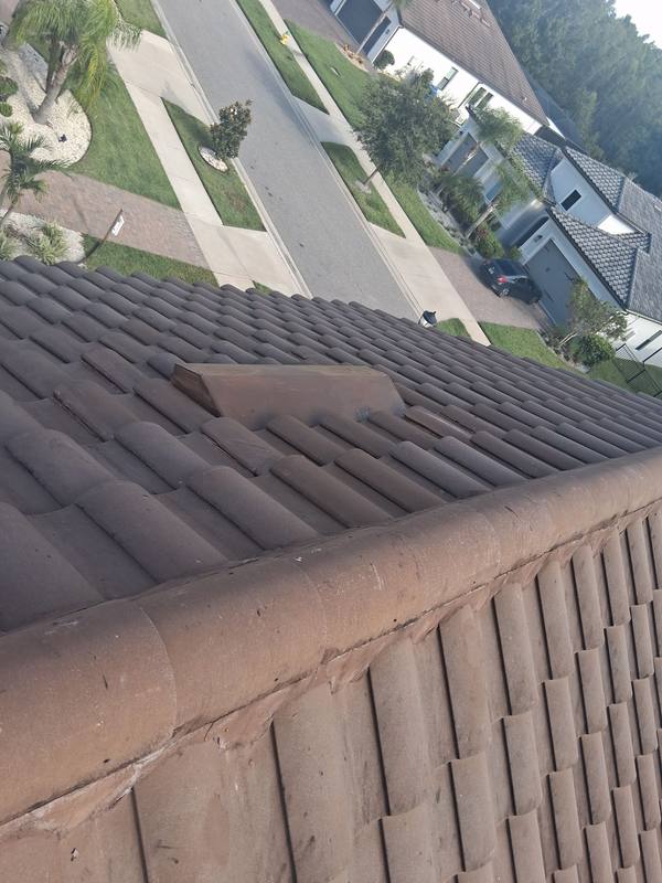 roof repair in Odessa, Florida