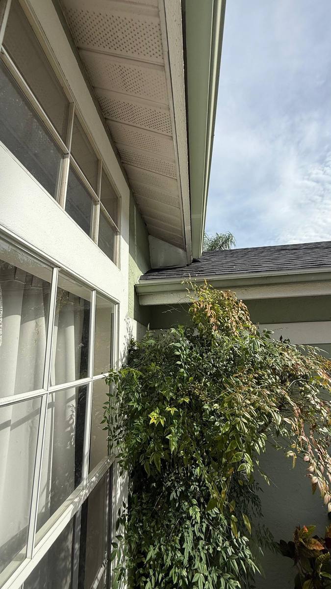 shingle roof replacement in New Port Richey, Florida