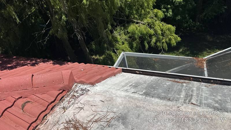residential roof repair by Hloska Roofing in Tampa
