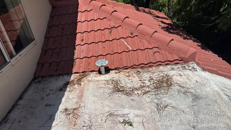 roofing project near Grey Eagle Rd in Tampa