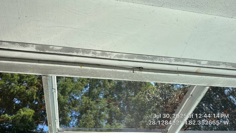 residential roof repair by Hloska Roofing in Tampa