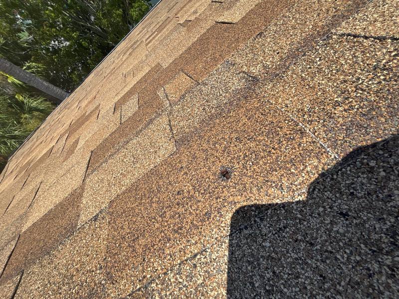 residential shingle roof replacement by Hloska Roofing in Clearwater