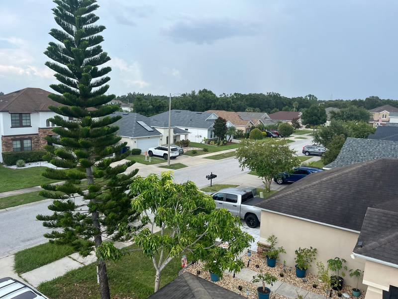 roof replacement in Gibsonton, Florida