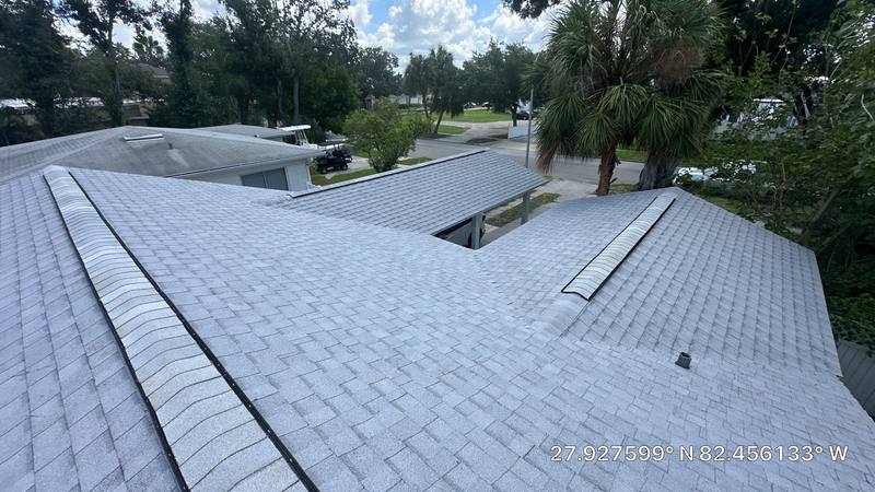 roofing project near Chippewa Ave in Tampa
