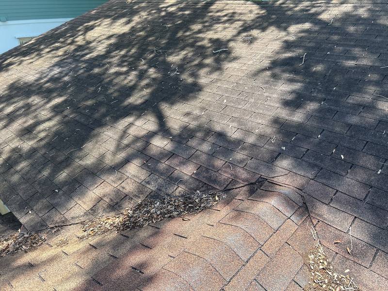 roofing project near W De Leon St in Tampa