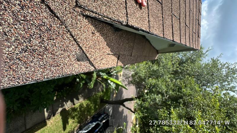 residential shingle roof replacement by Hloska Roofing in St Pete