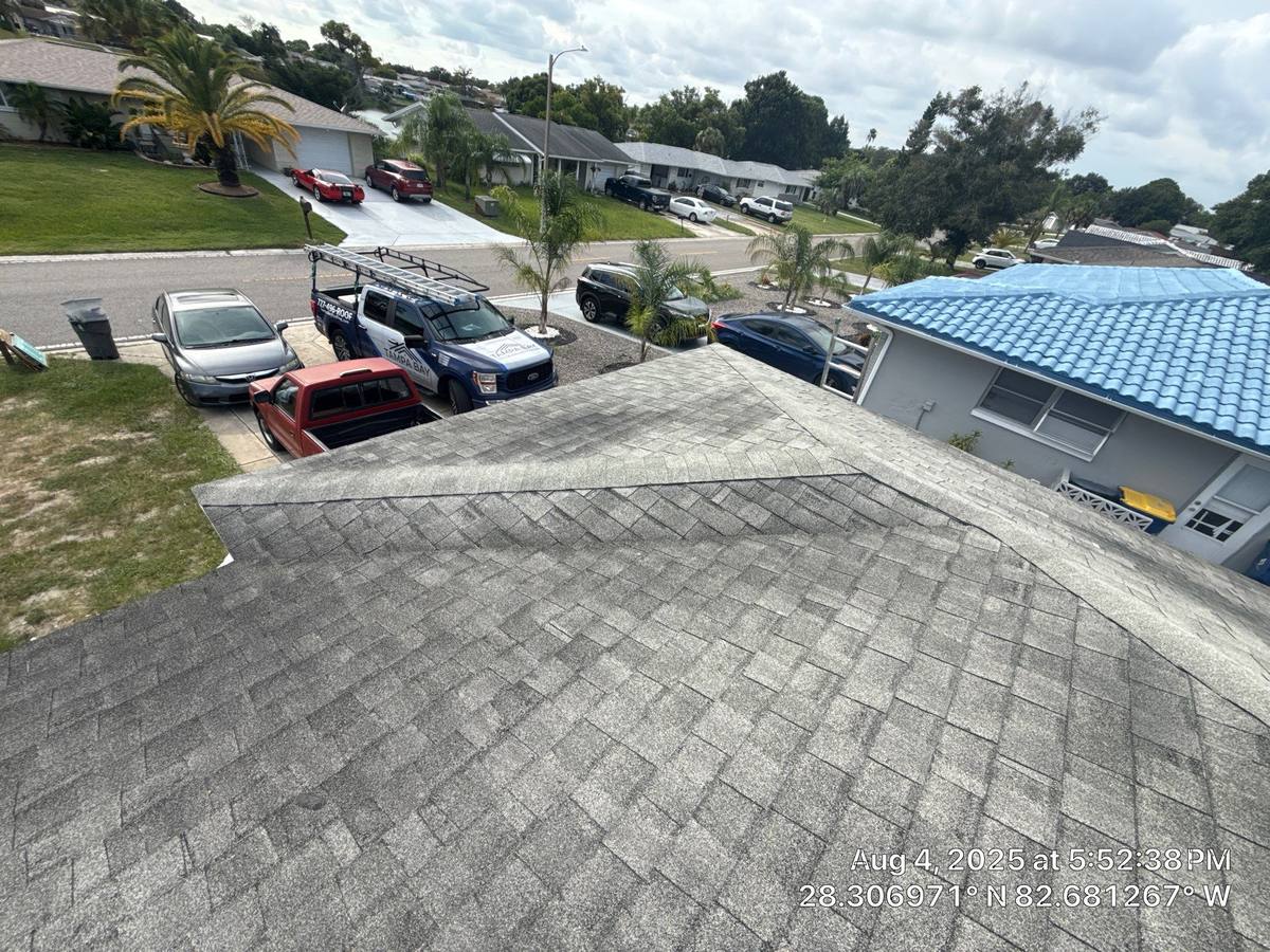 shingle roof replacement in Port Richey, Florida