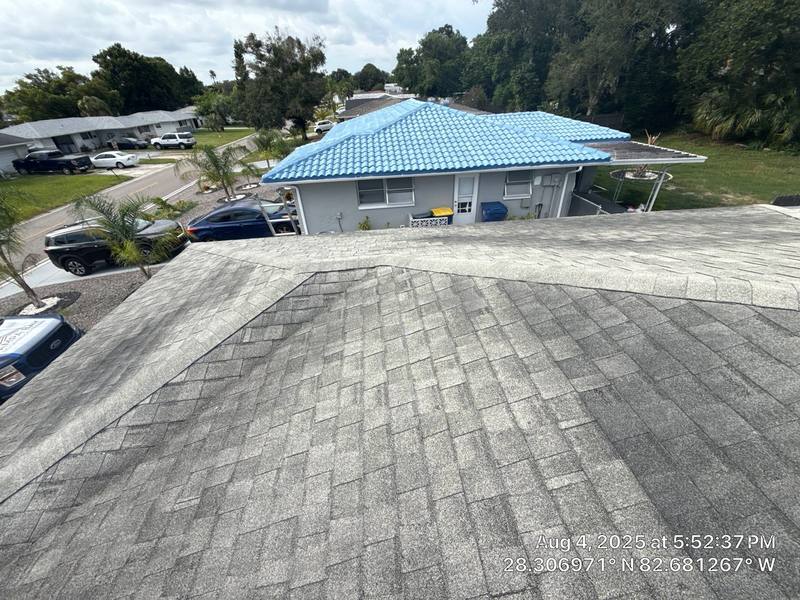 shingle roof replacement in Port Richey, Florida