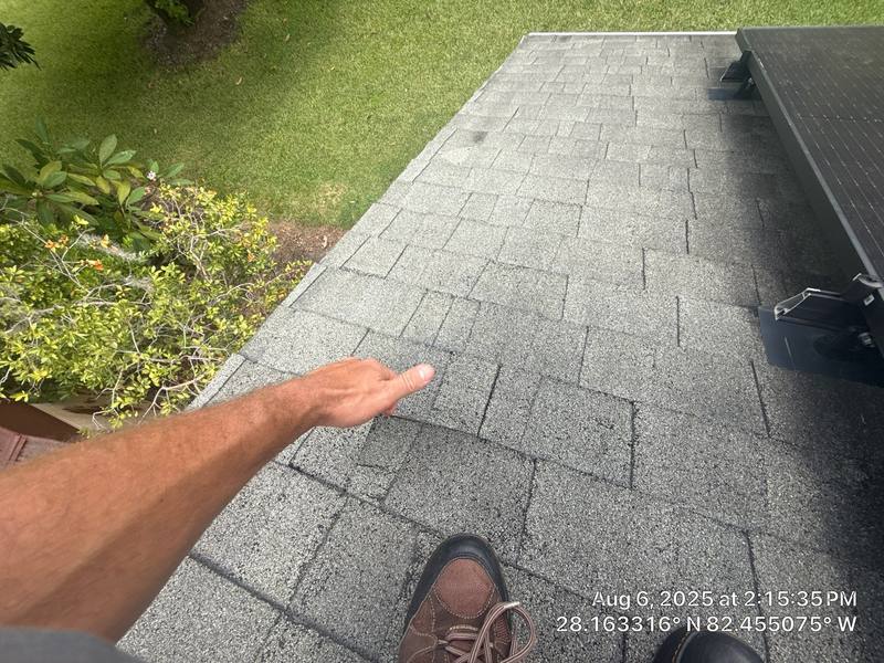 completed roofing project in Lutz FL