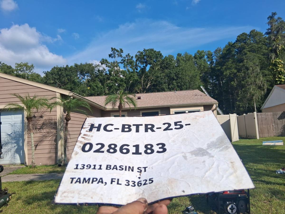 shingle roof replacement in Tampa, Florida