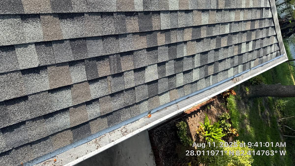 roof repair in Tampa, Florida