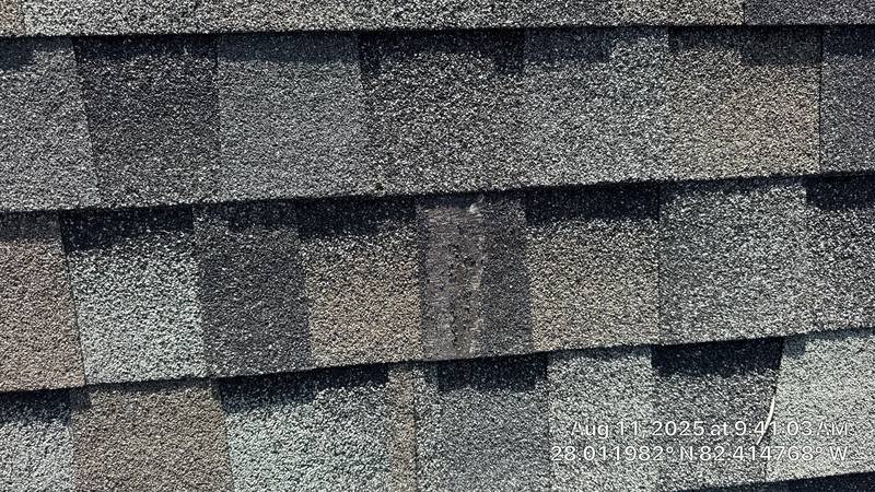 roof repair in Tampa, Florida