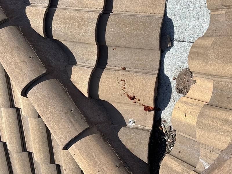 roofing project near Otter Creek Dr. in Venice
