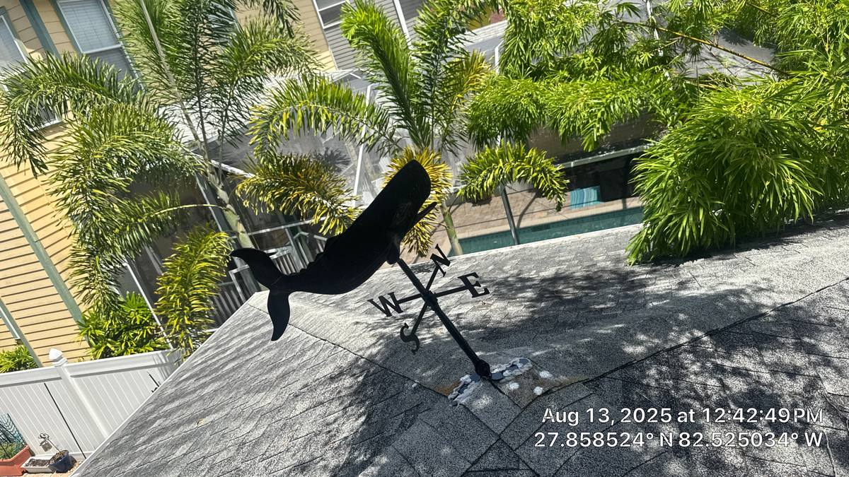 roof repair in Tampa, Florida